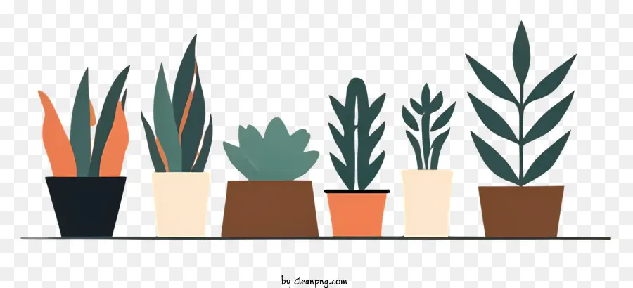 Arreglo De Plantas，Plantas En Macetas PNG