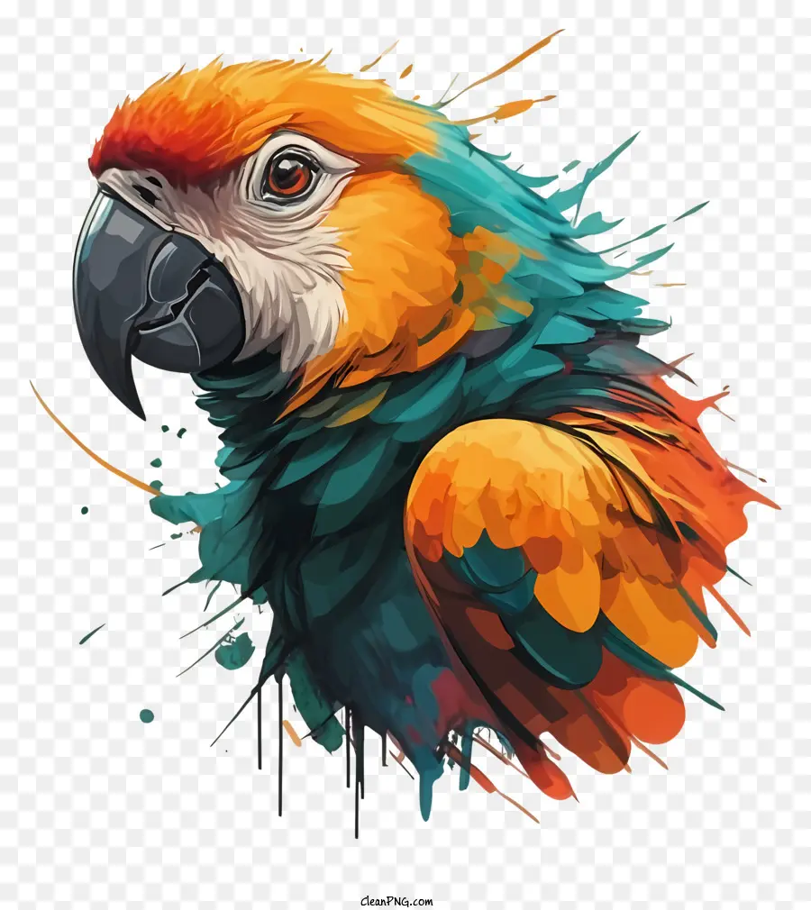 Loro Colorido，Pájaro PNG