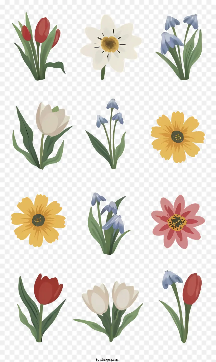 Flores，Los Narcisos PNG