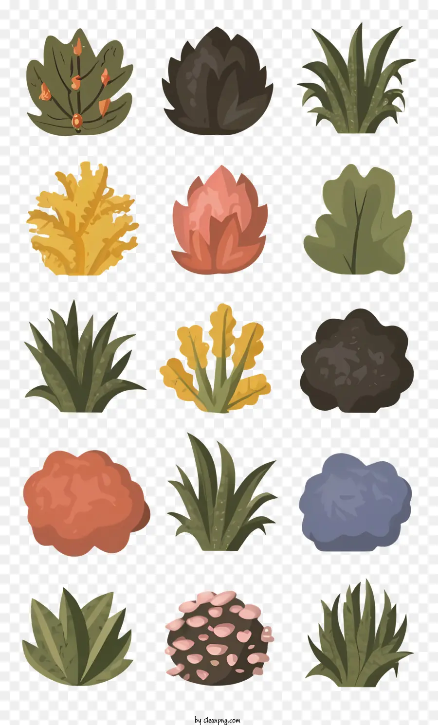 Las Plantas，Las Plantas Suculentas PNG