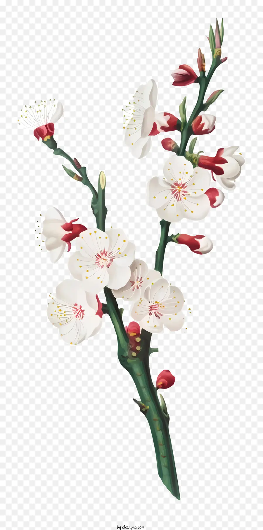 Árbol，Flor De Cerezo PNG