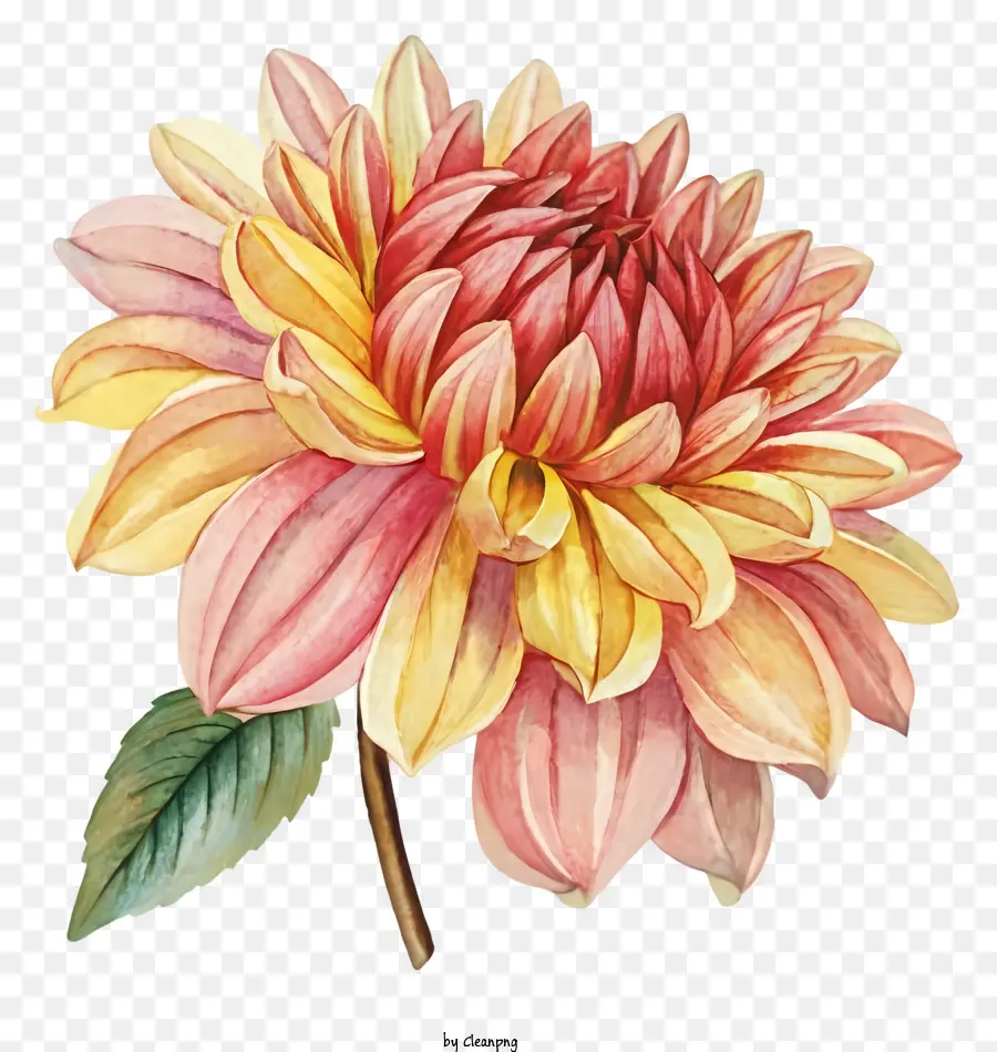 Flower Painting，Narciso PNG