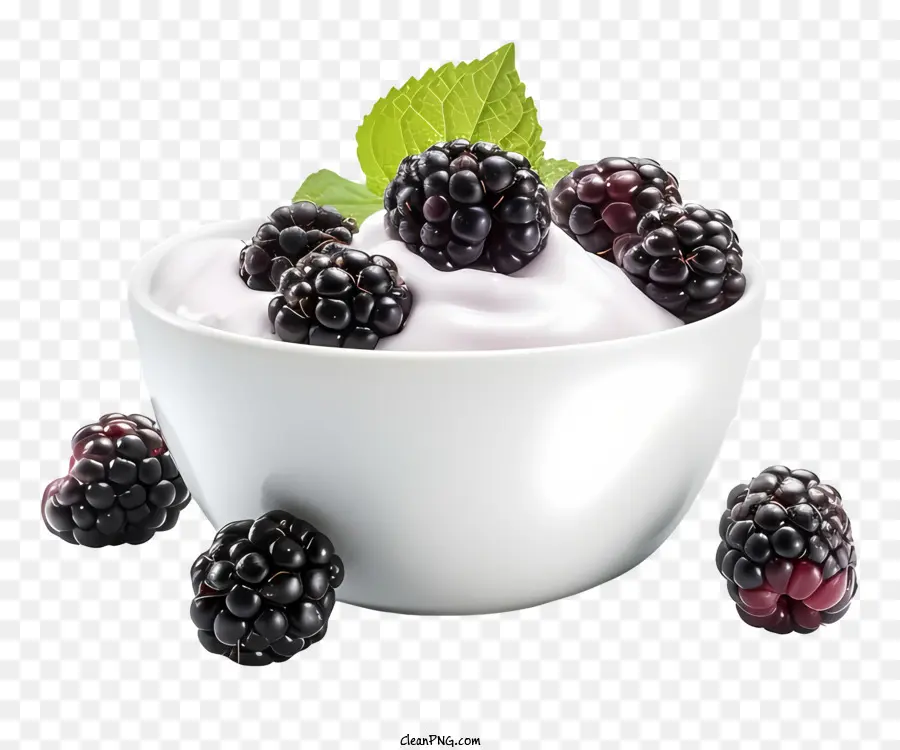 Moras，Menta PNG