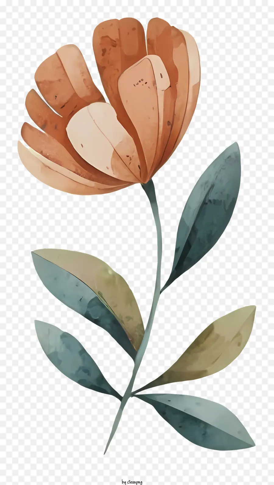 Flor De Naranja，Flor Amarilla PNG