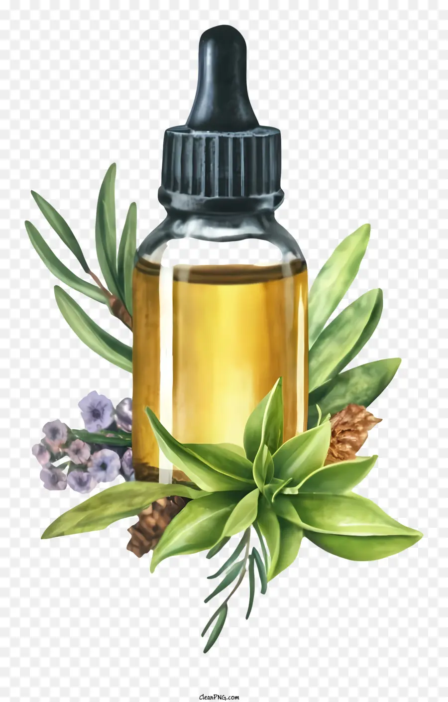 Aceite Esencial，Botella De Aceite Esencial PNG