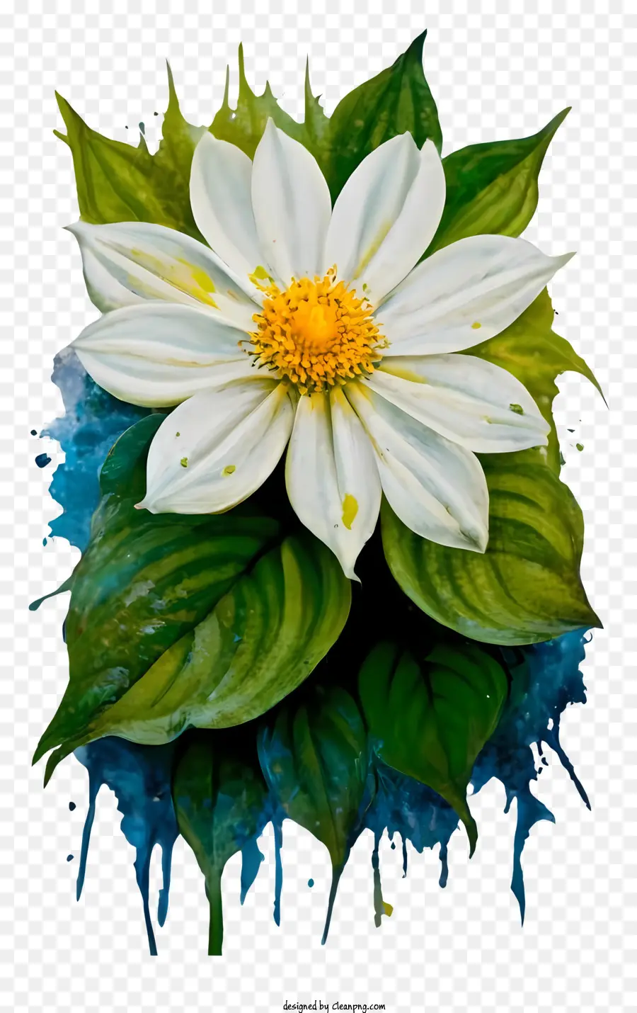 Flor Blanca，Hojas PNG