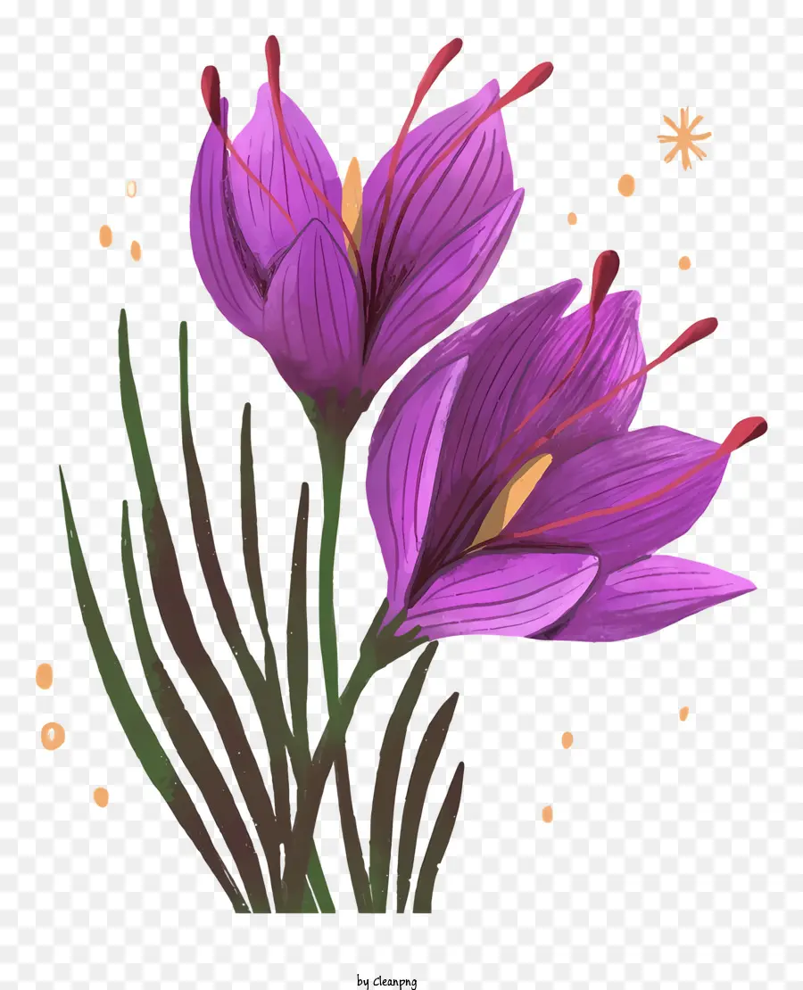 Ramo，Flores De Color Púrpura PNG