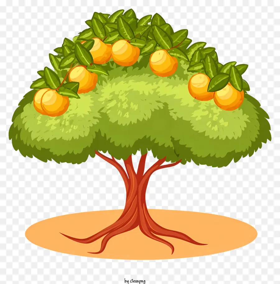 árbol De La Fruta，Frutas De Color Naranja PNG