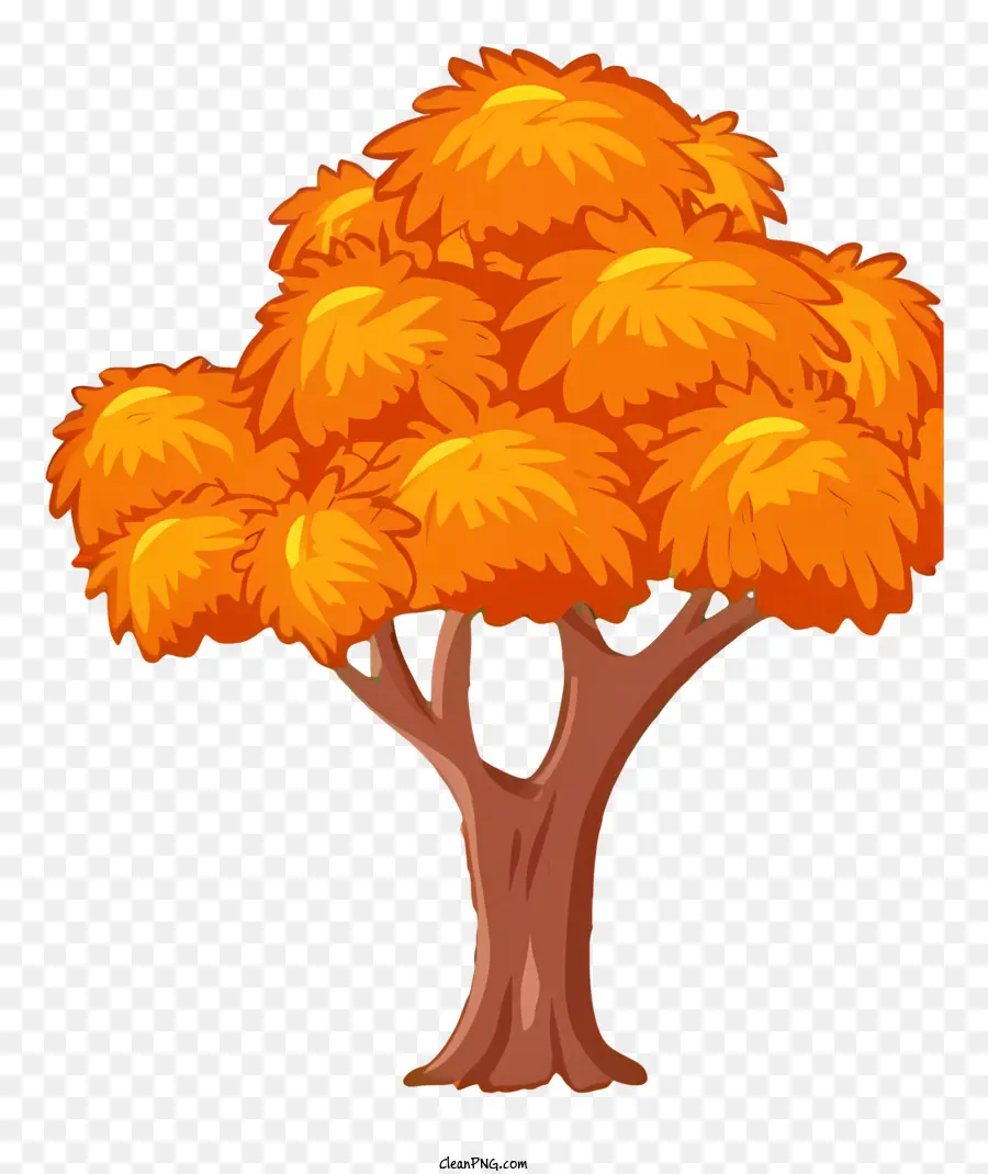 Dibujos Animados De árbol，Hojas De Color PNG