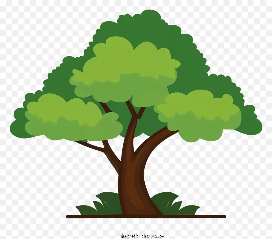 Árbol，Verde PNG