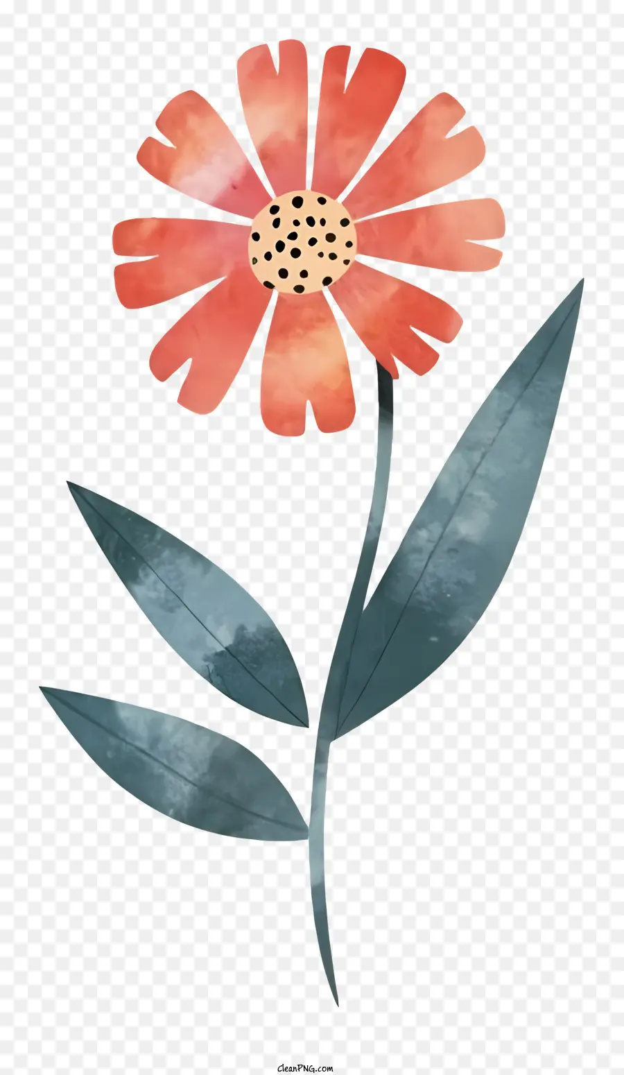 Flor，Rojo PNG