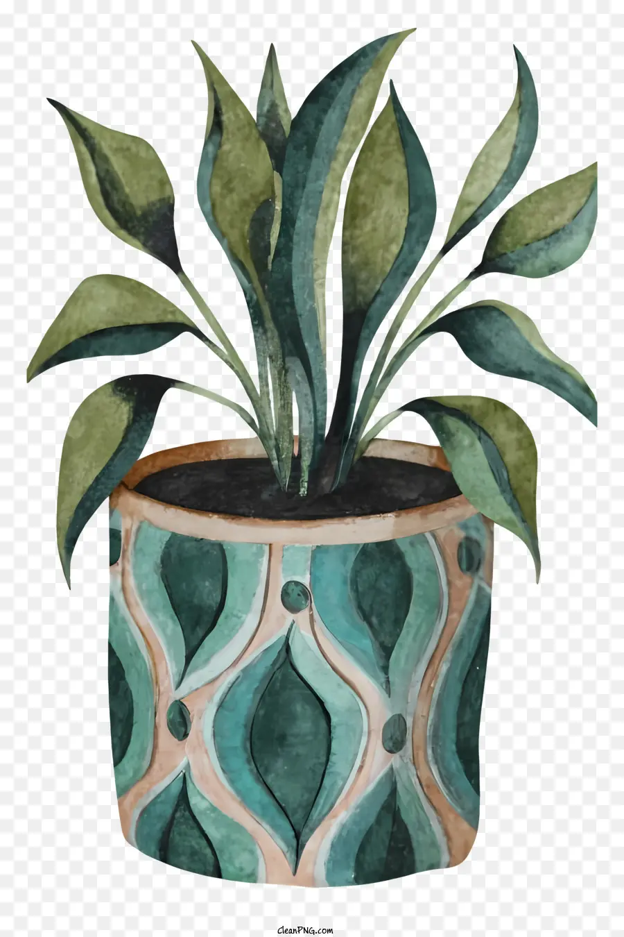 Maceta，Las Plantas Verdes PNG