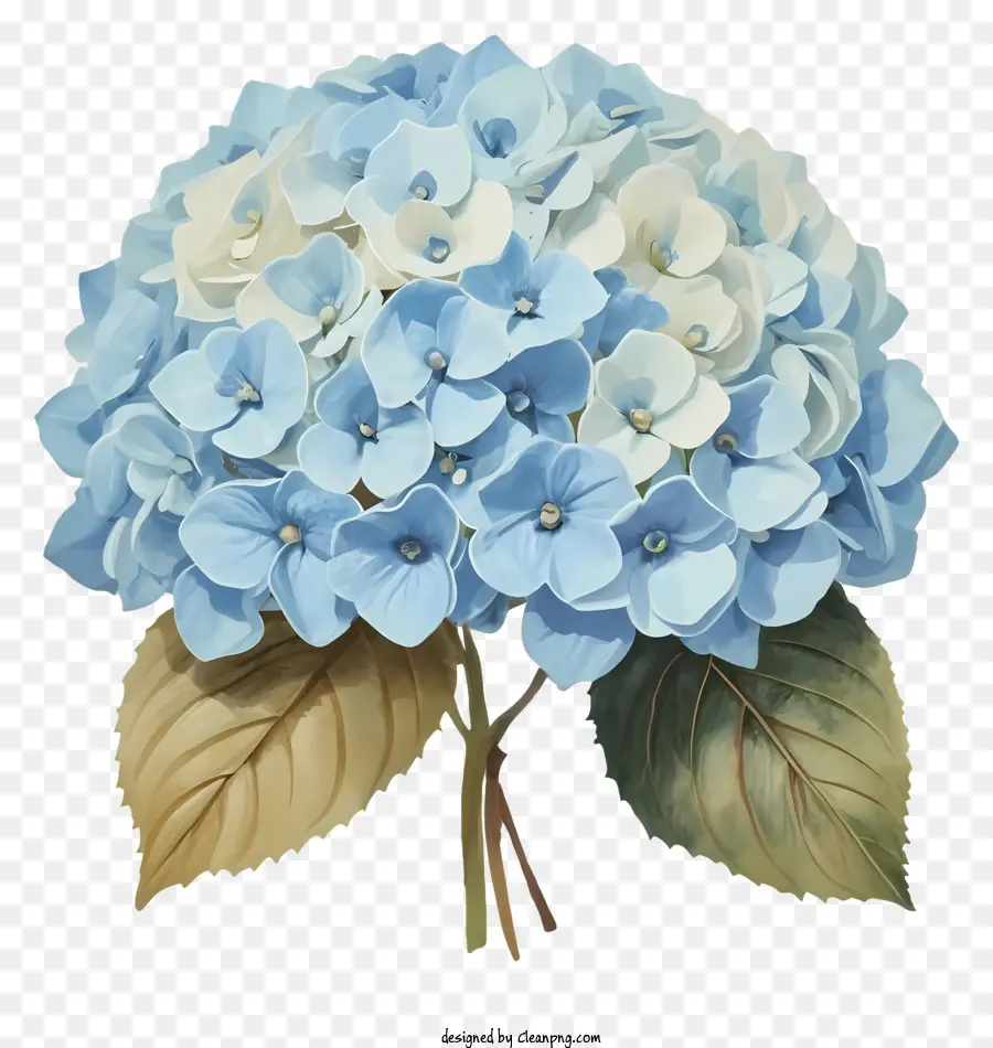 Ramo De Flores，Hortensia PNG