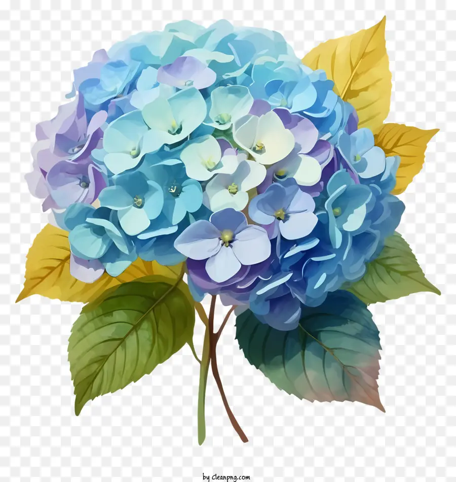 Bouquet Of Flowers，Flor De Hortensia Azul PNG