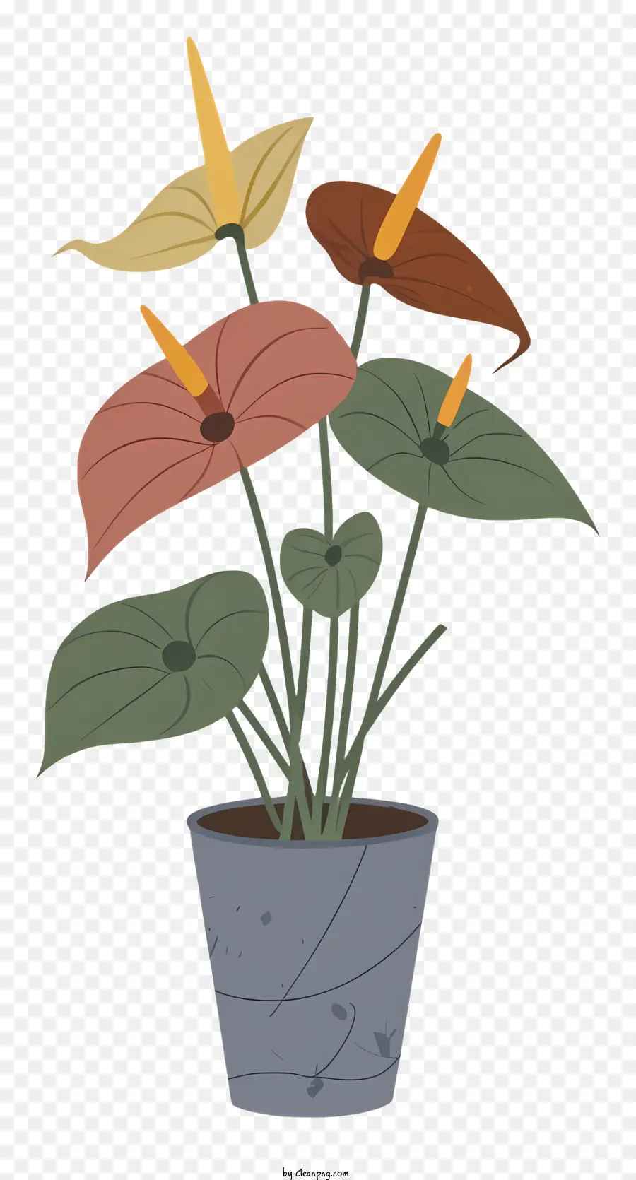 Planta De Ananta，Planta En Maceta PNG