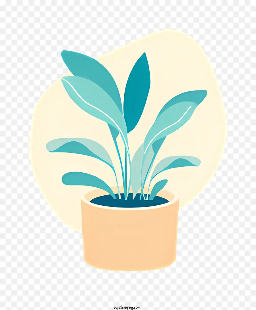 Planta Suculenta，Planta En Maceta PNG