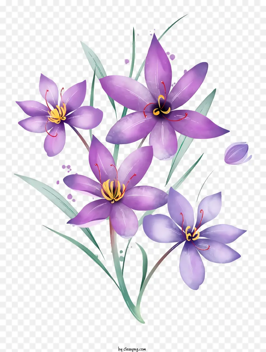 Flores De Color Púrpura，Ramo PNG