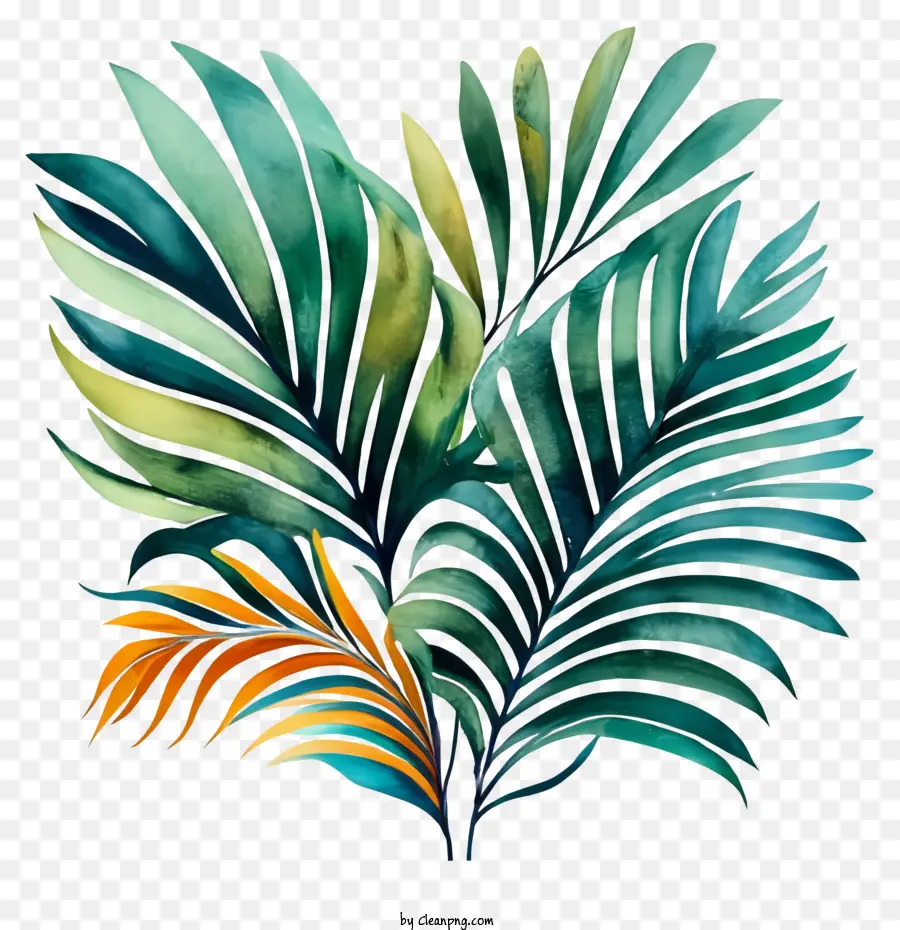 Planta Tropical，Hojas De Planta PNG