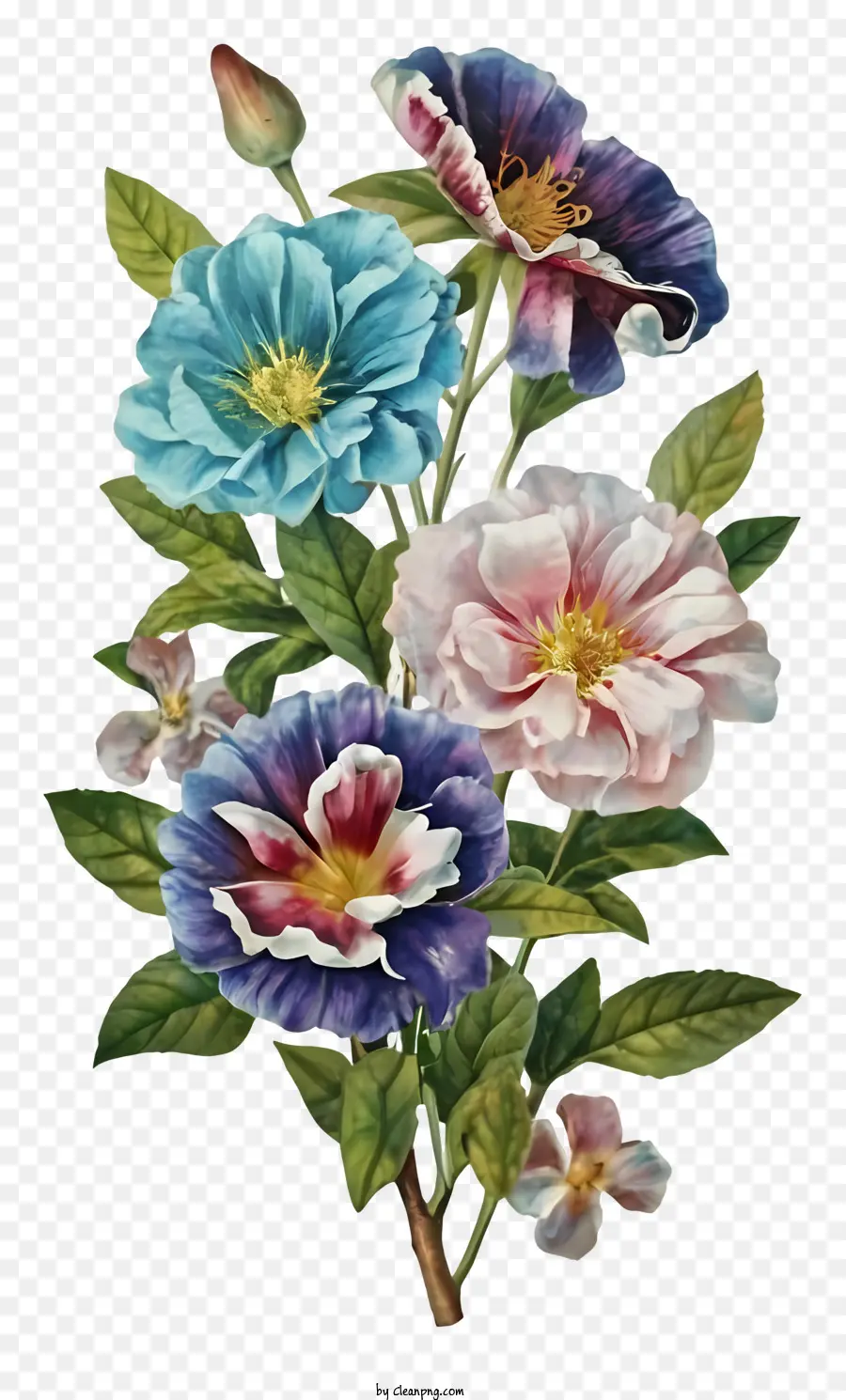 Bouquet Of Flowers，Rosas De Color PNG