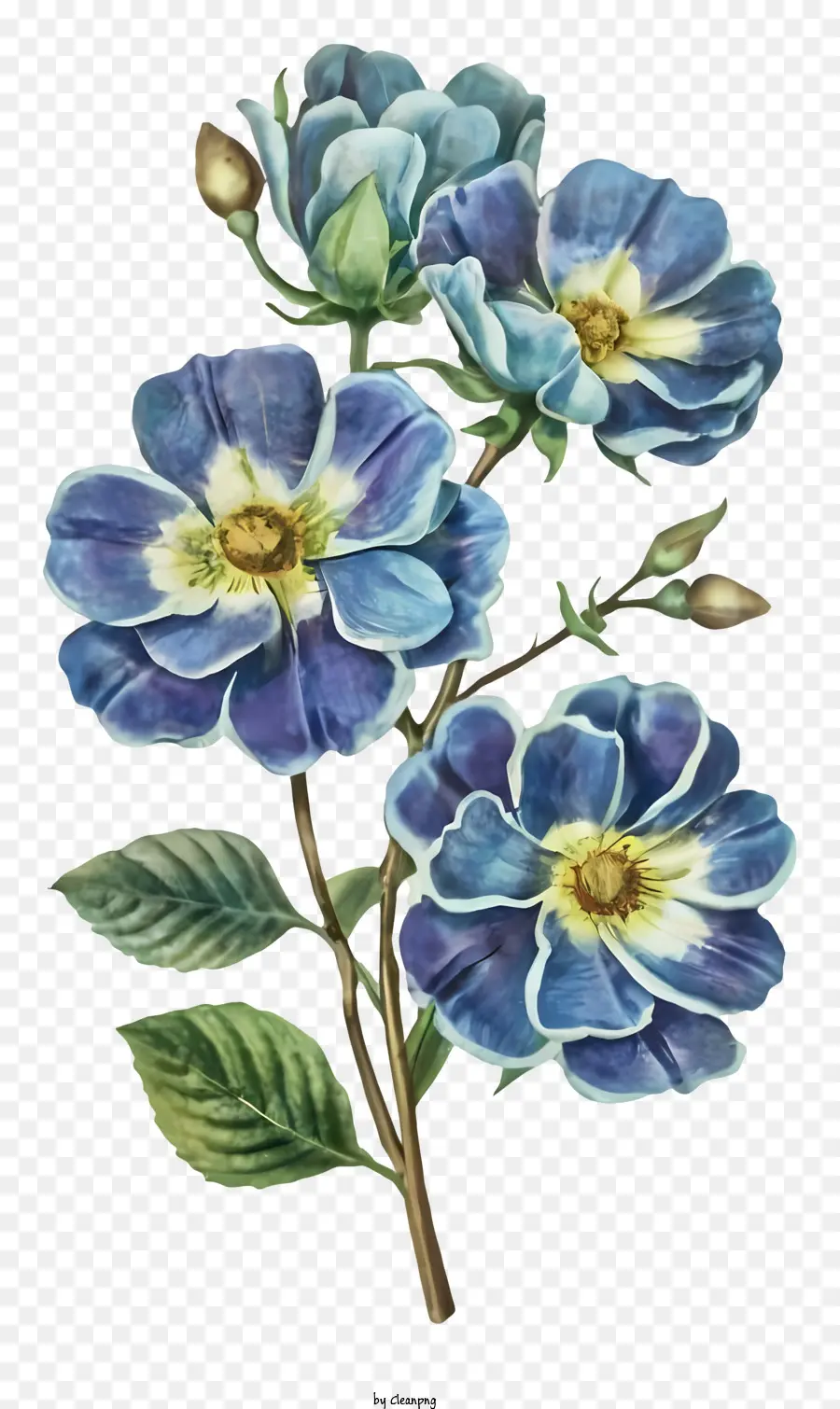 Pintura De Rosas Azules，Ramo De Rosas Azules PNG