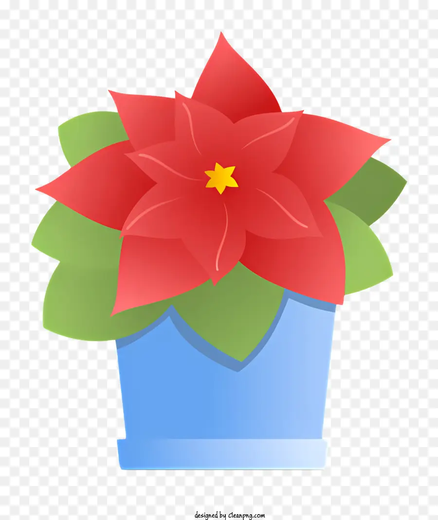 Nochebuena Roja，Flor De Pascua PNG