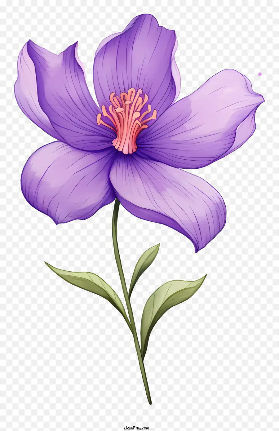 Flor Morada，Madre PNG