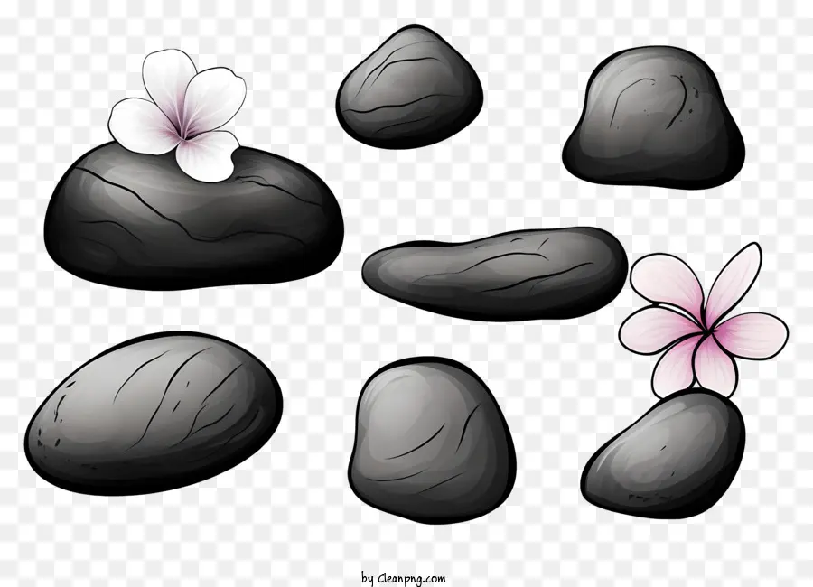 Rocas Negras，Piedras Negras Con Flores PNG