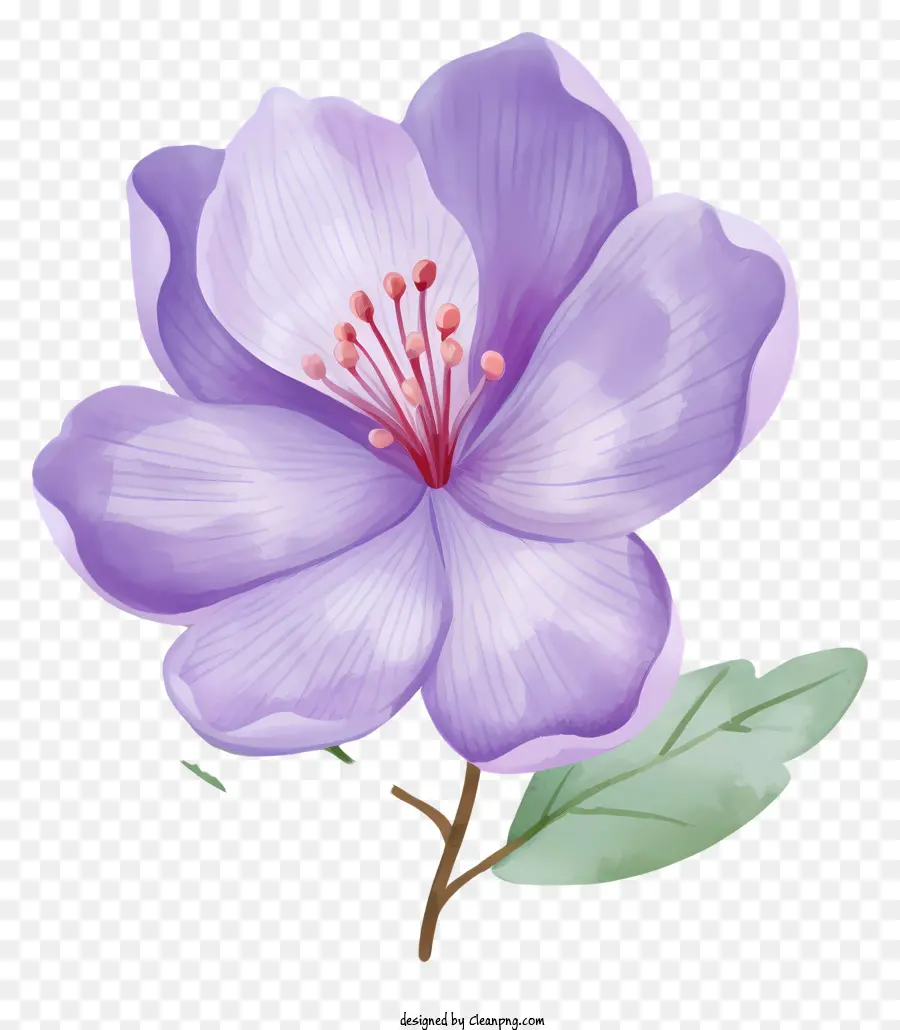 Flor Morada，Hojas Verdes PNG