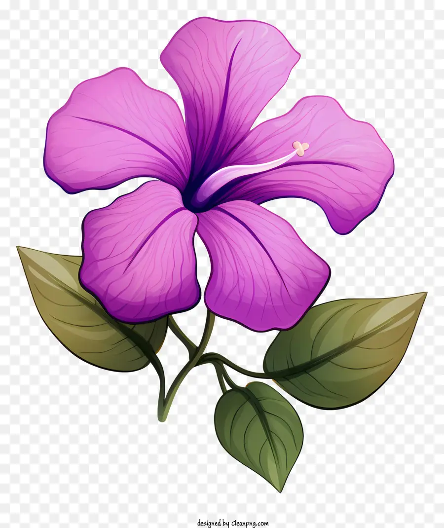 Flor Morada，Hojas Verdes PNG