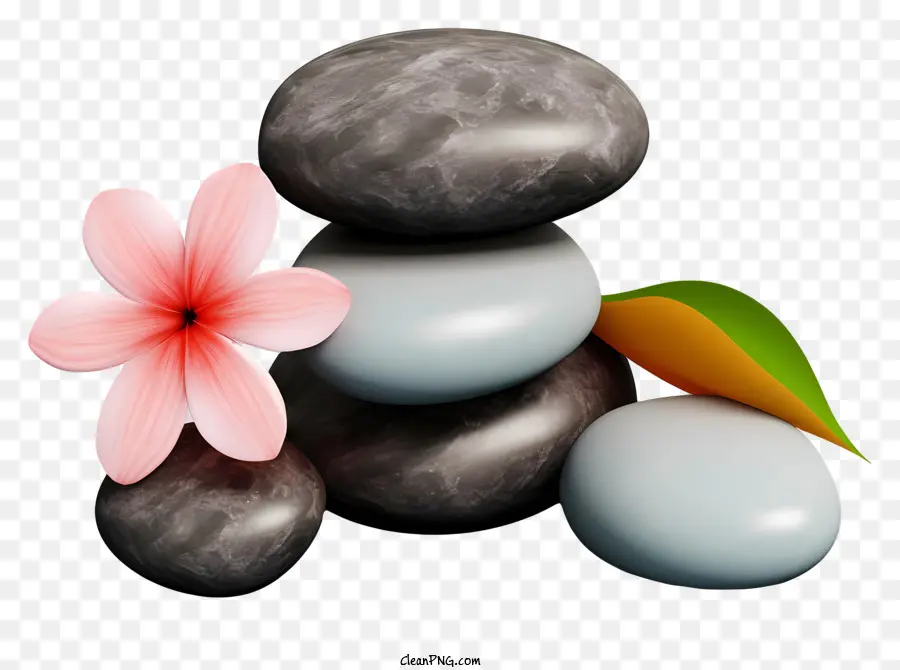 Guijarros，Flores Y Piedras Grises Apiladas PNG