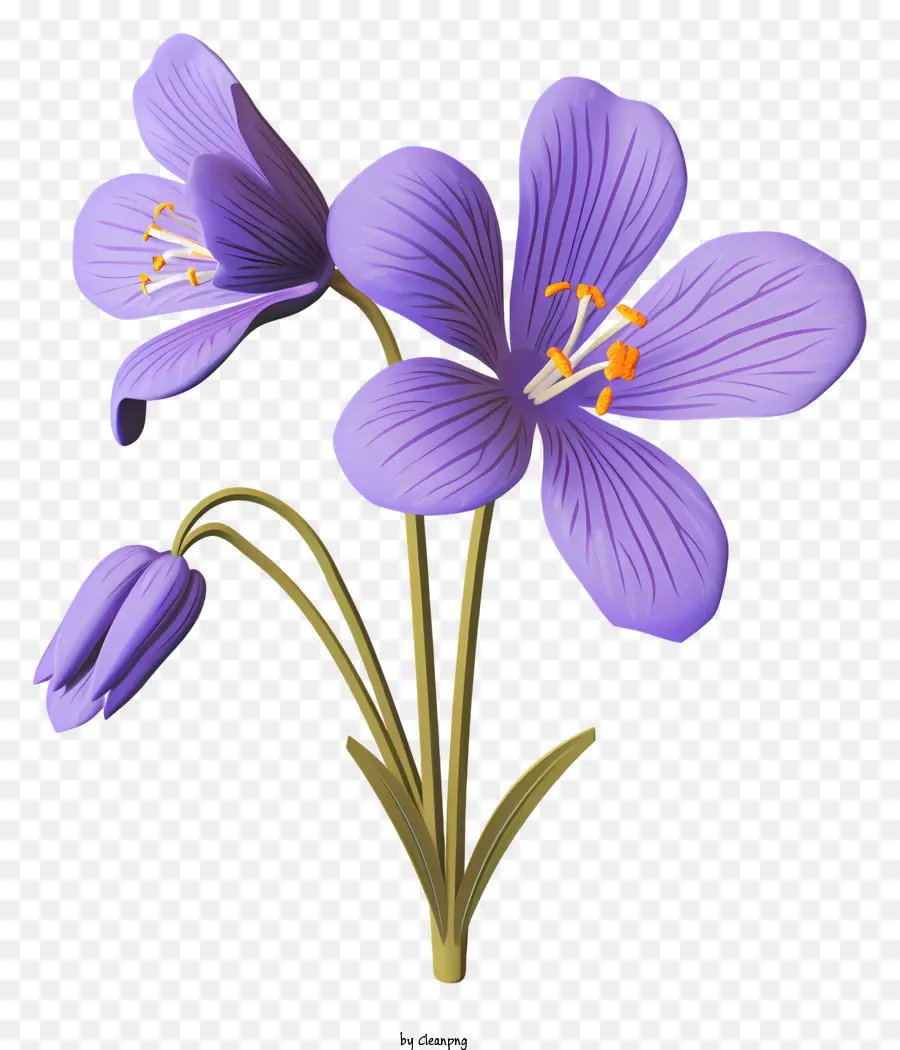 Flor Morada，Florecer PNG