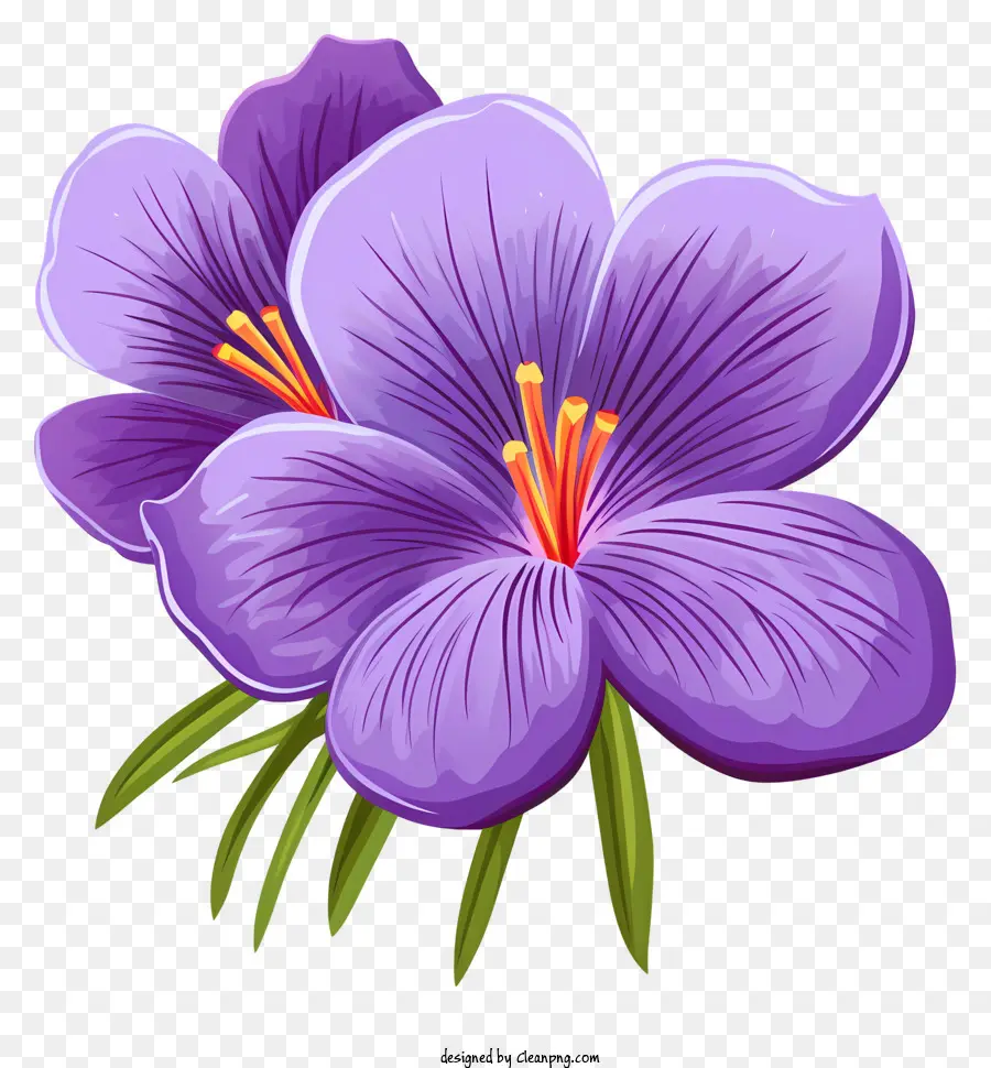 Flores De Color Púrpura，Simétrica Flores PNG