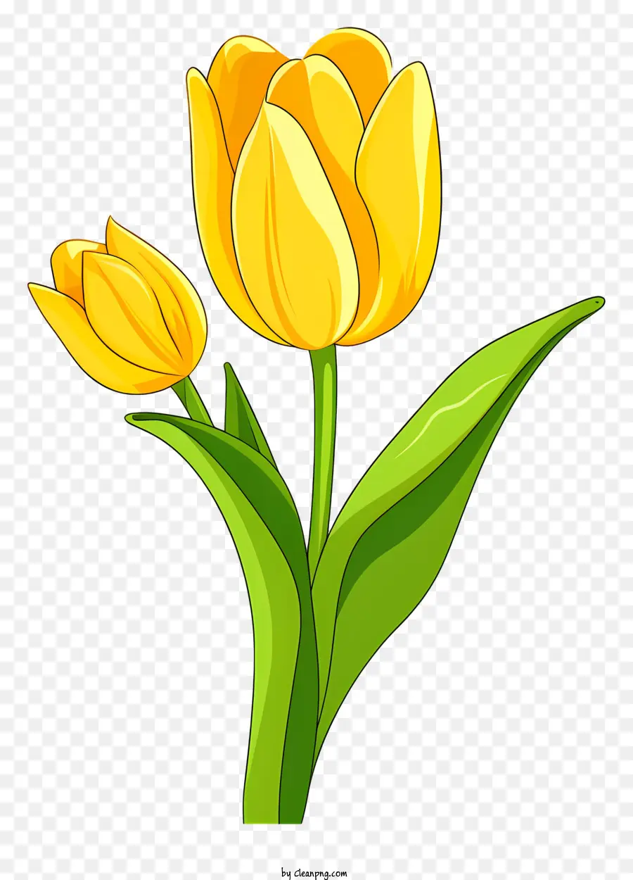 Tulipán Amarillo，Hojas Verdes PNG