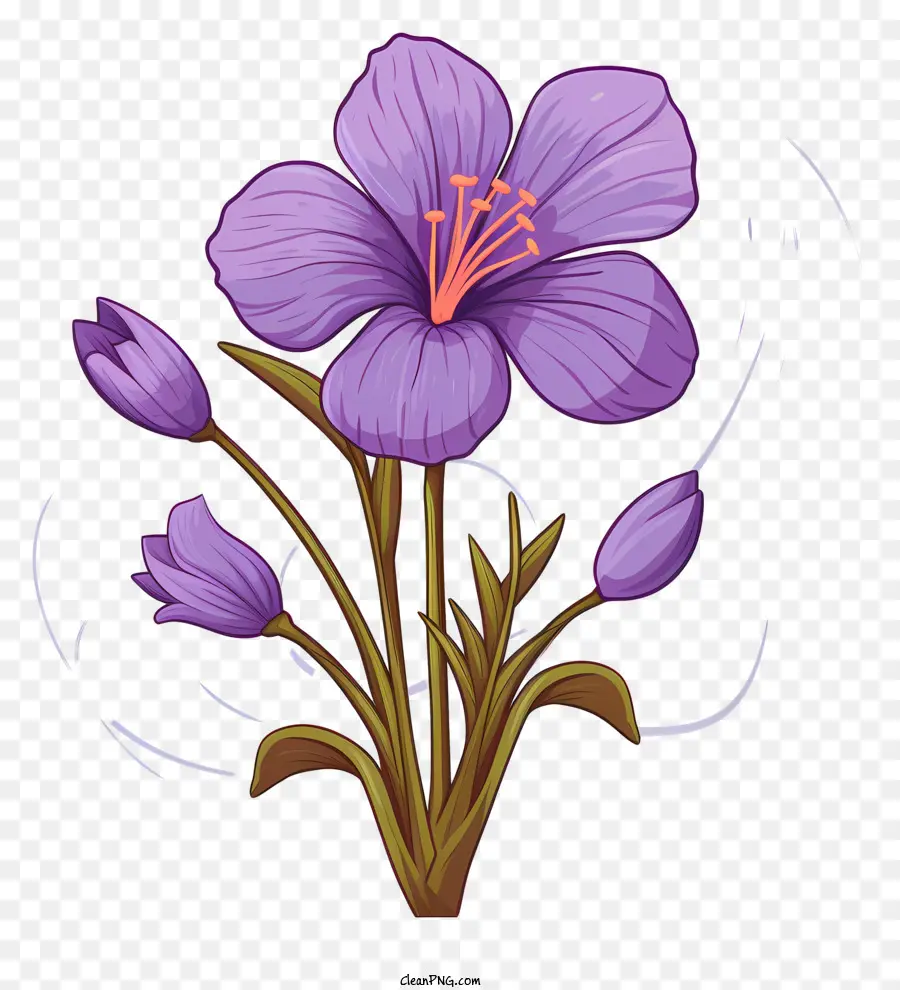 Flor Morada，Florecer PNG