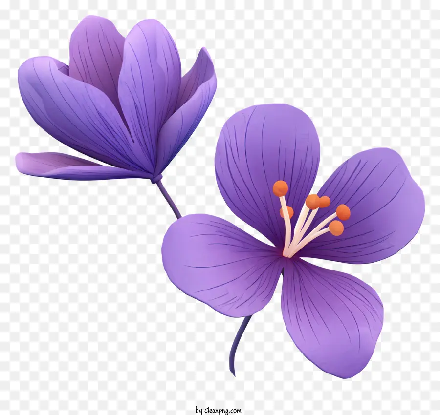 Flores，Los Pétalos Morados PNG