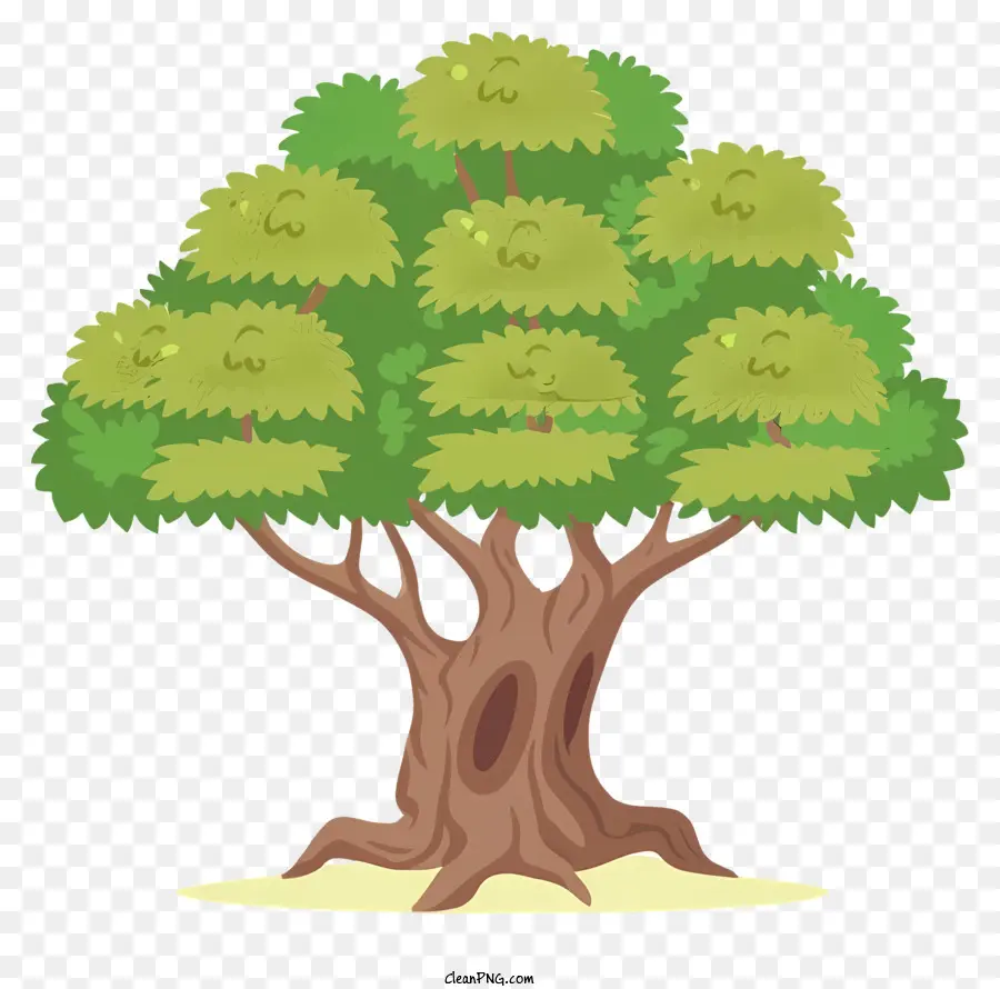 Árbol，Hojas Verdes PNG