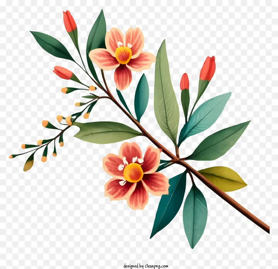 Rama Con Flores，Flores De Color Rosa PNG