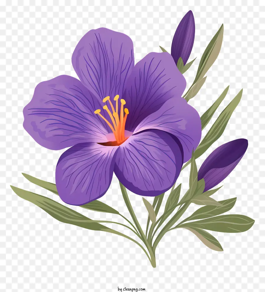 Flor，Flor Morada PNG