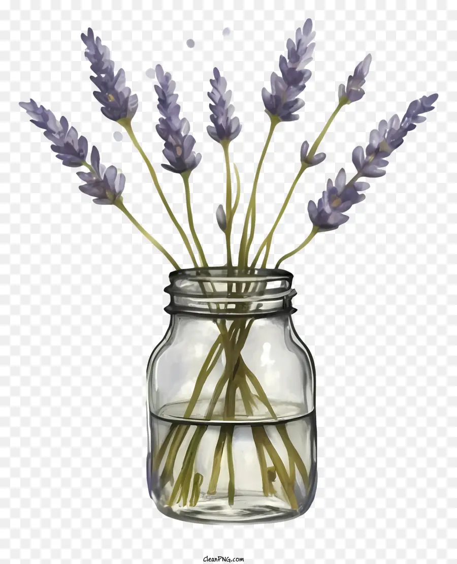 Frasco De Vidrio，Las Flores De Lavanda PNG