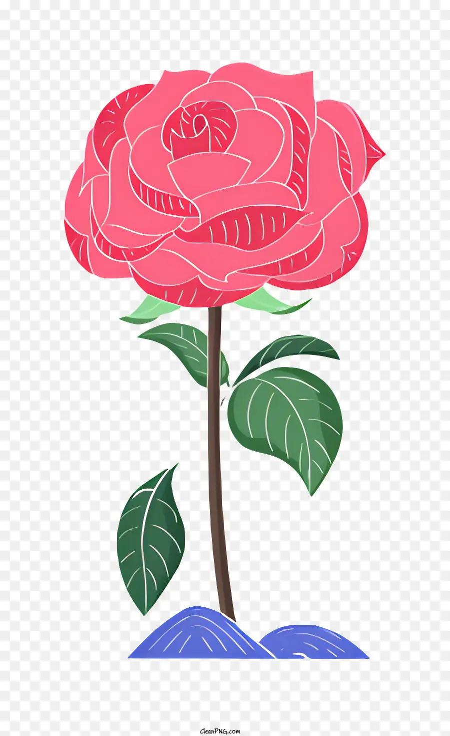 Rosa Rosa，Agua PNG