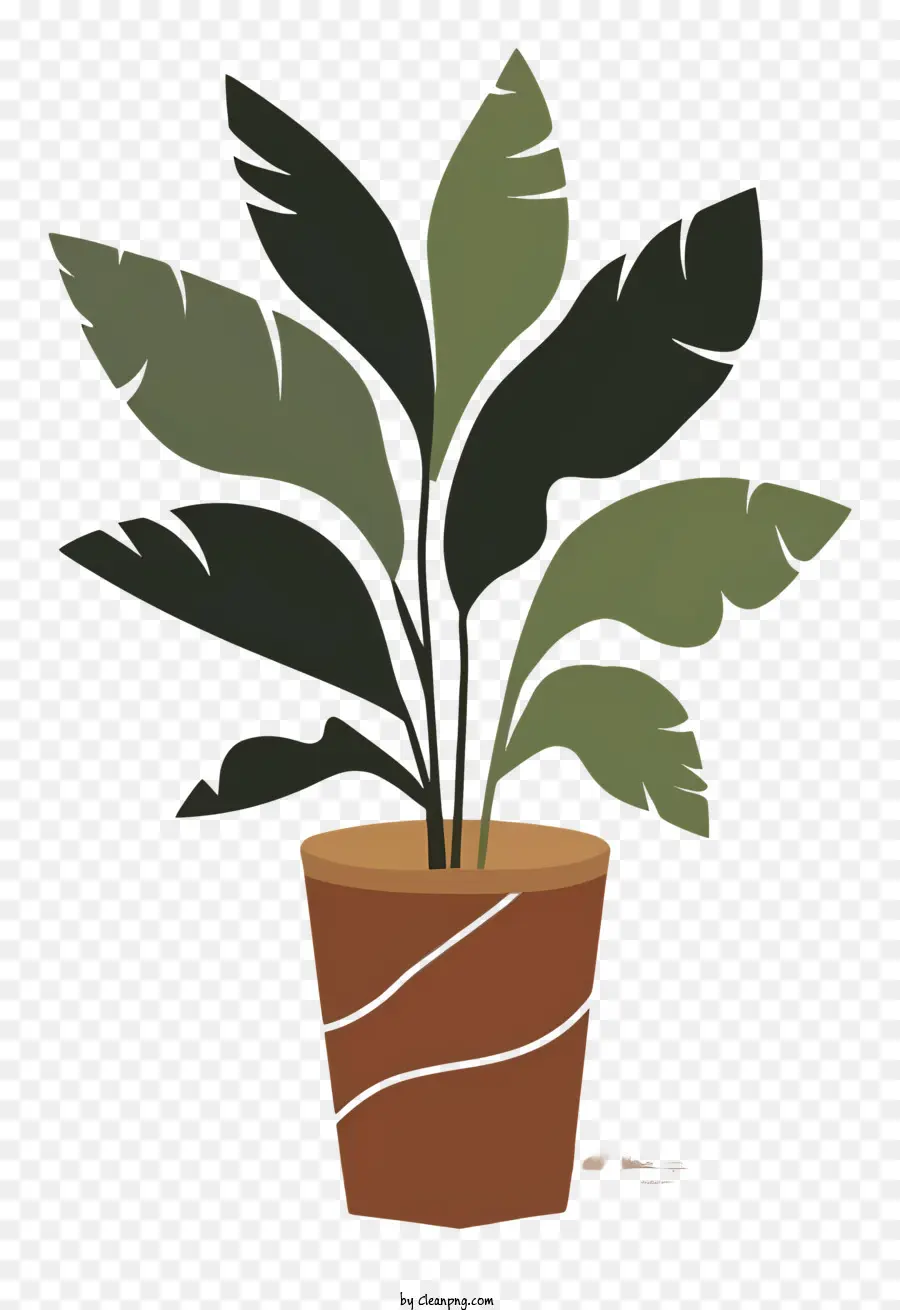 Planta，Planta En Maceta PNG