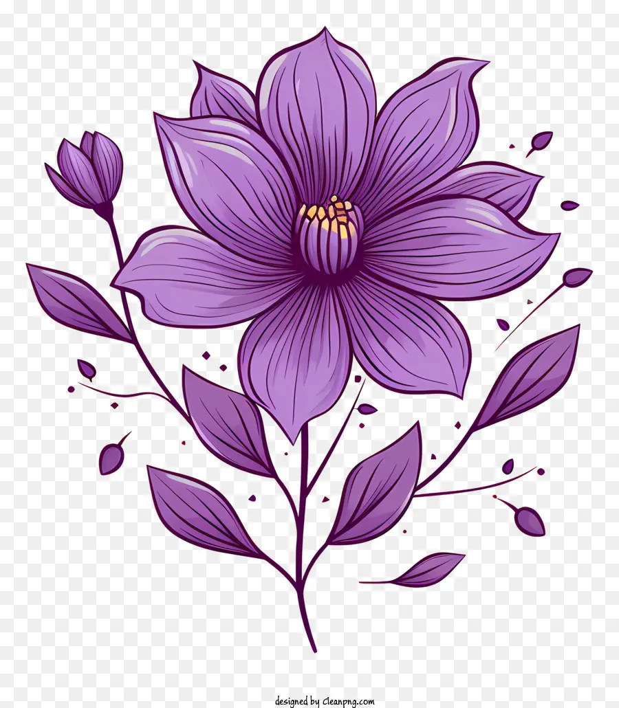 Flor Morada，Black Background PNG