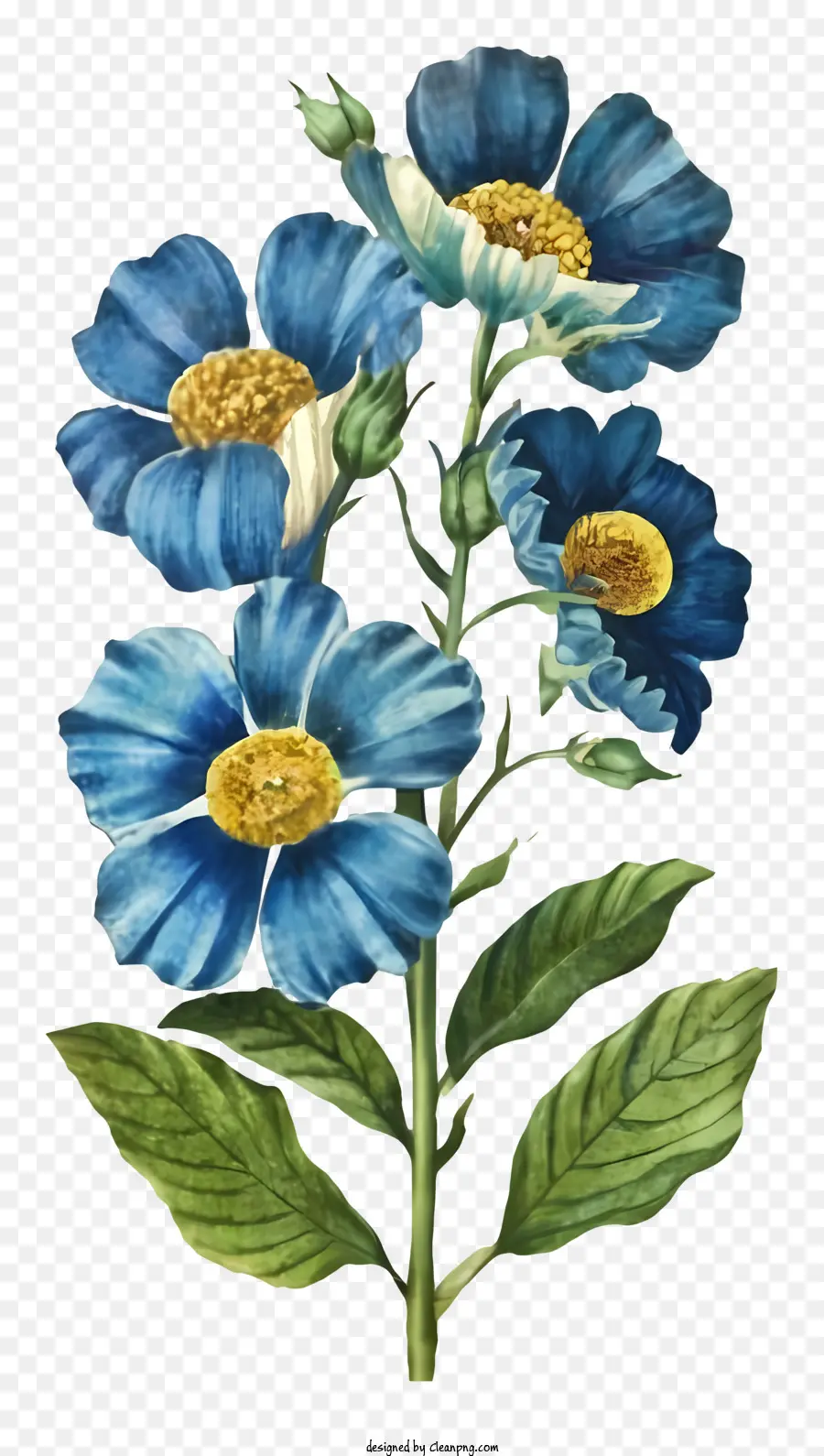 Flores De Color Azul，Ramo PNG