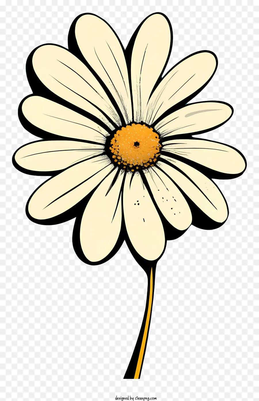 Daisy Blanco，Centros Amarillos PNG