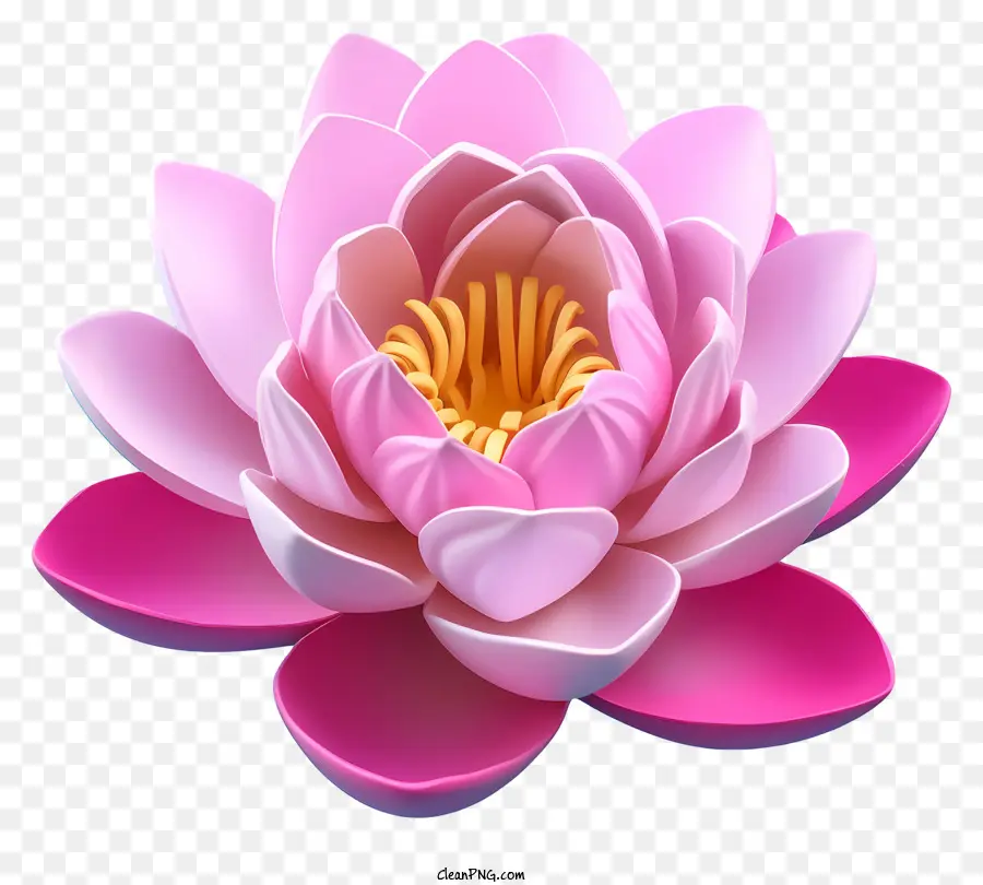 Flor De Loto，Loto De Color Rosa PNG