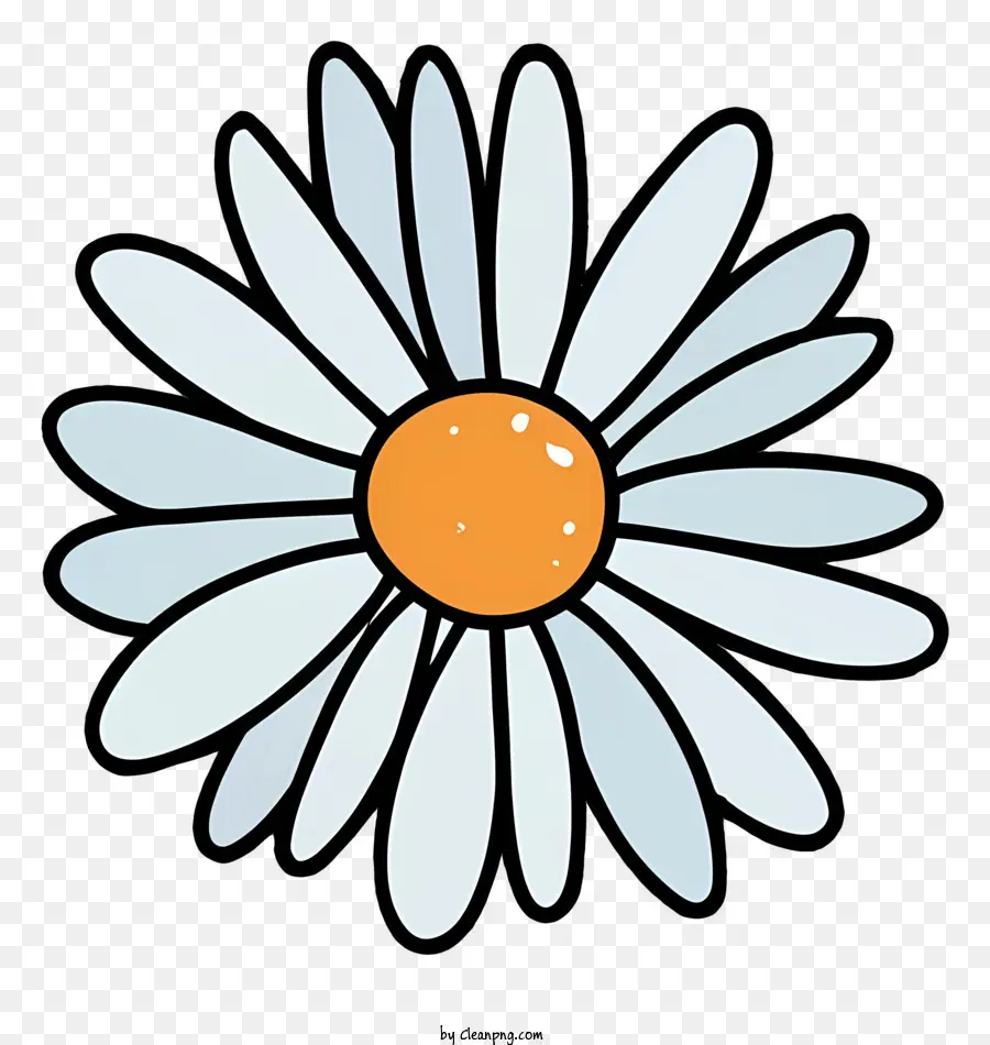 Flor De La Margarita，Daisy Blanco PNG