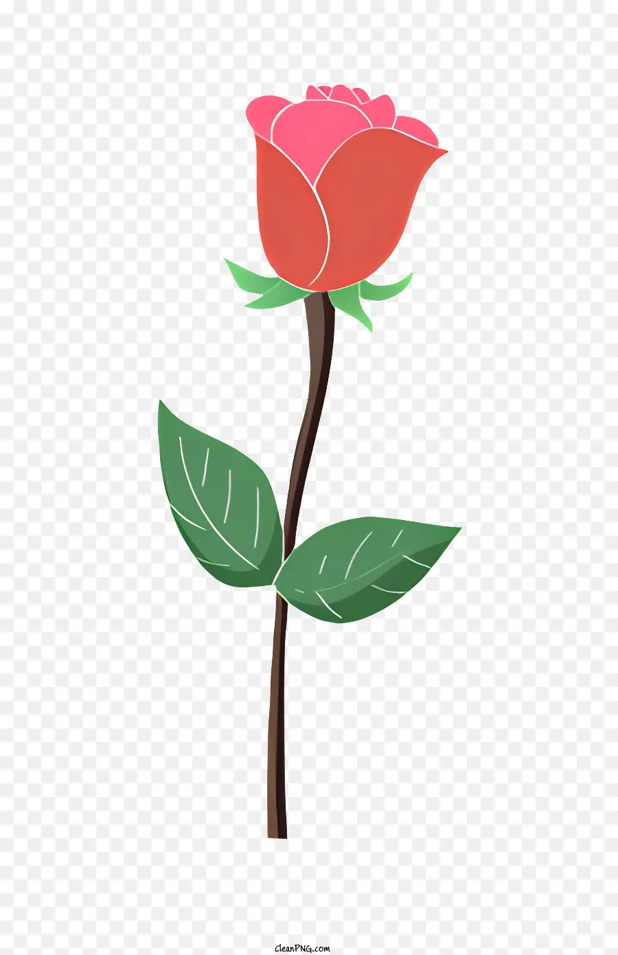 Rosa Rosa，Rosa Roja PNG