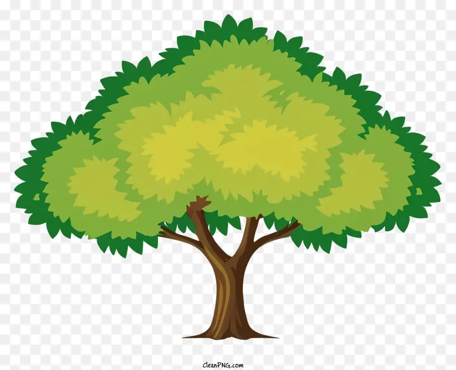 Árbol，Exuberantes Hojas Verdes PNG