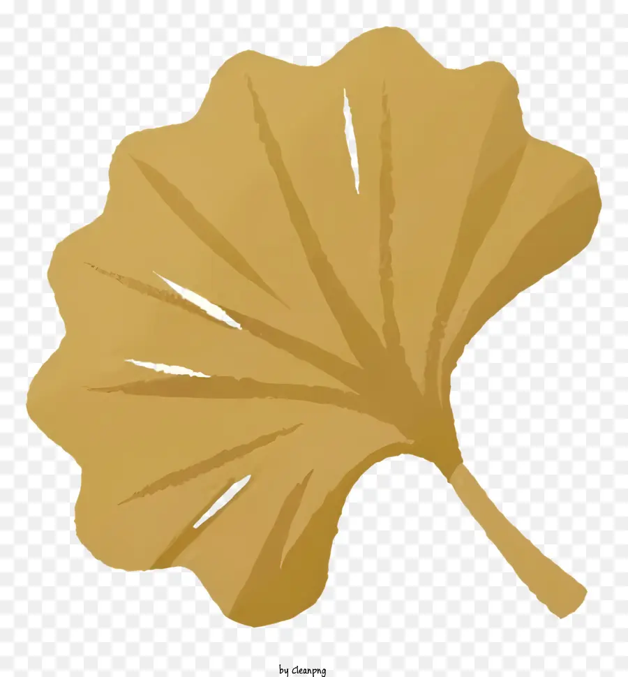 Hoja De Gingko，Hojas De Gingko PNG