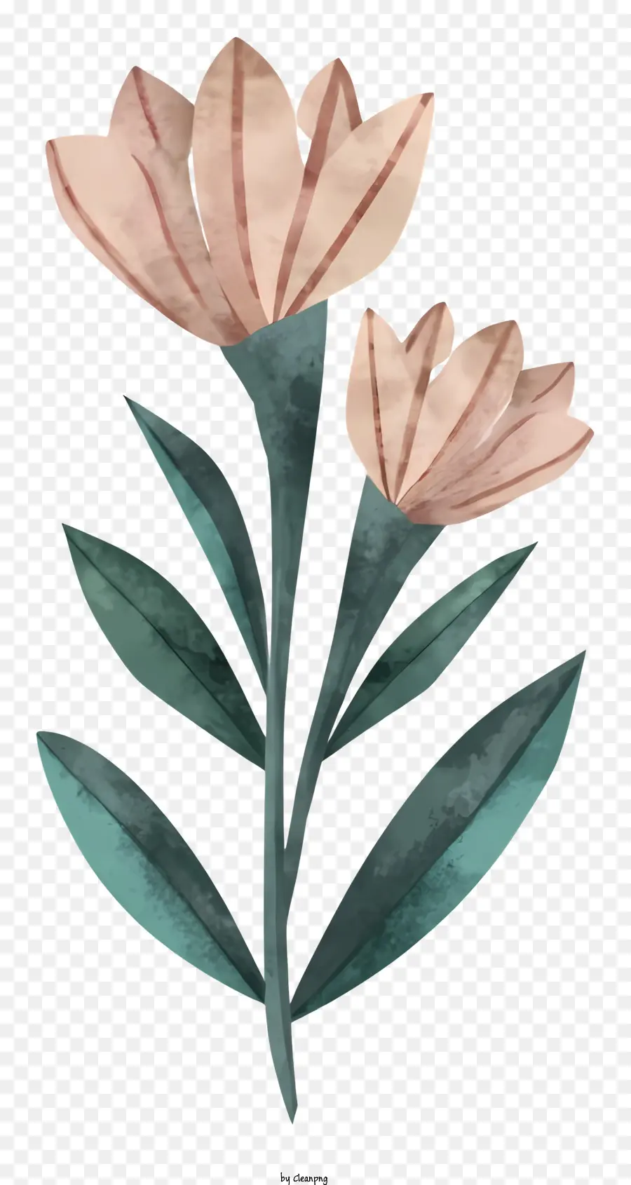 Pintura De Acuarela，Flor PNG